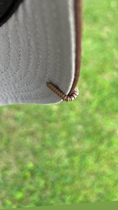 SCREWED UP BLIP [ MOCHA]